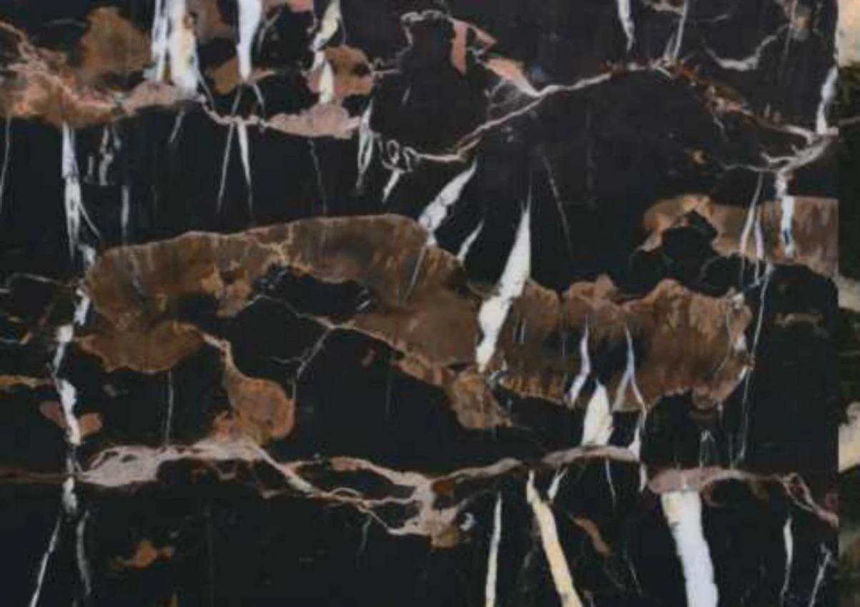Black Marble marble from Asian Stone