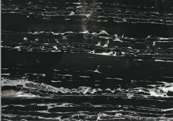 Sliver Portoro Marble marble