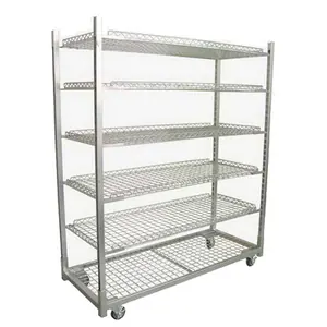 DR12 Display Stand