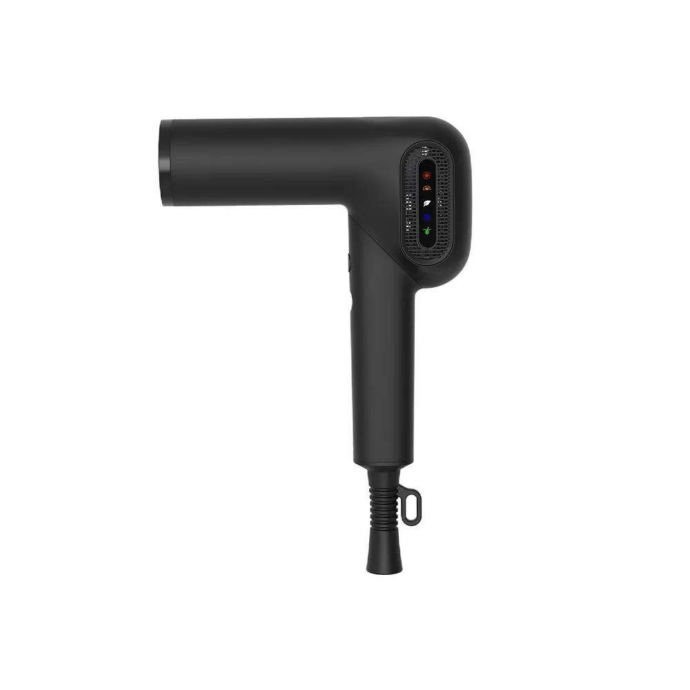 QS603 Dual Voltage Foldable Hair Dryer