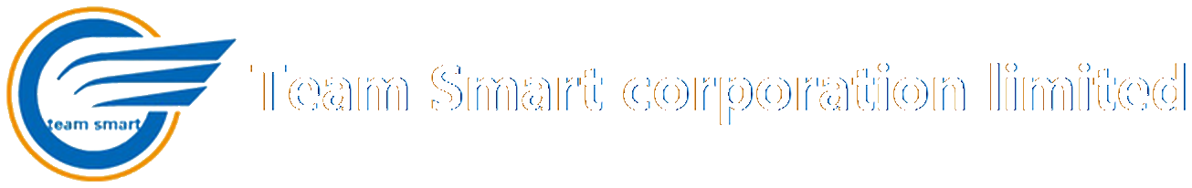 Team Smart Corporation Limited logo