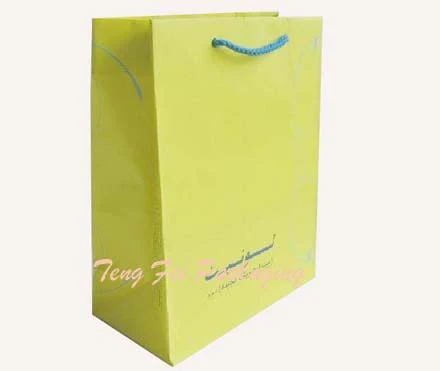Lime Matt Laminated Shopping Bag by Teng Fei Packaging — rigid card & paper shopping bag