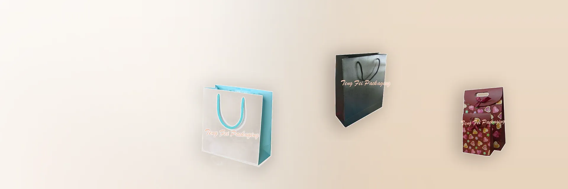 Printed Bags & Carriers at Teng Fei Packaging