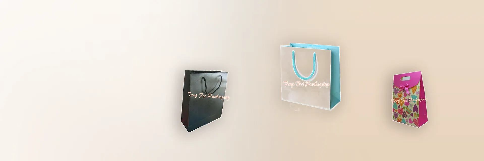 Shopping Bags made by Teng Fei Packaging