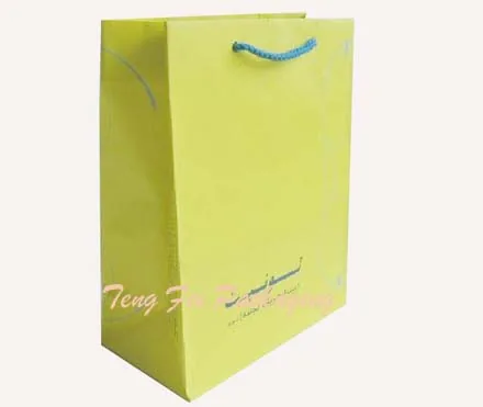 Paper Bag - Paper Shopping Bags by Teng Fei Packaging Manufactory