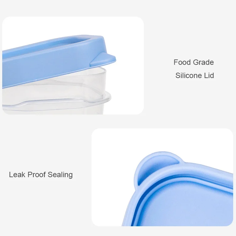 Mold with lid removed, showing the six individual 100ml compartments