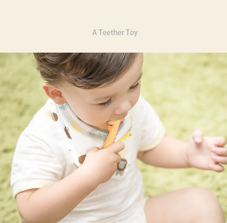 Giraffe Baby Fresh Fruit Food Pacifier with Teething toy