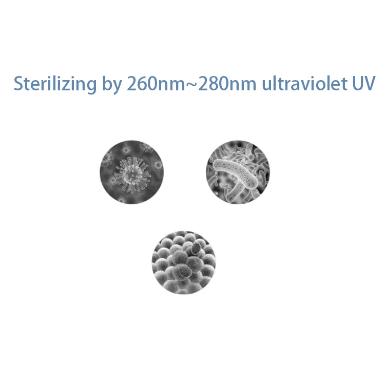 Sterilizer box standing upright with colour box packaging