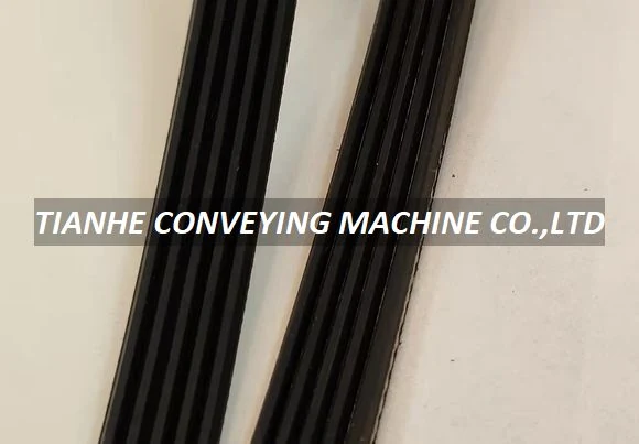 Conveyor Poly V Pully Belt 5PJ250J detail view 2