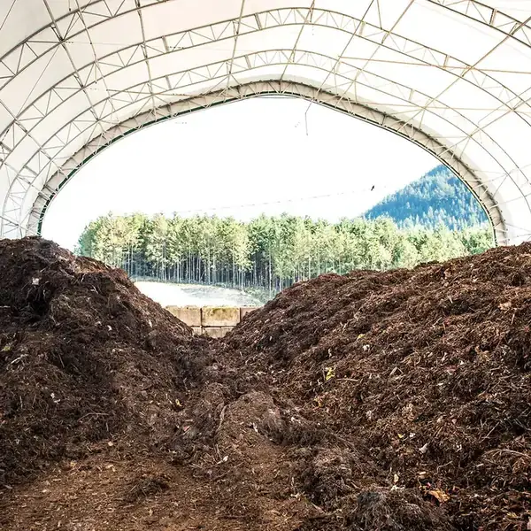 Traditional open windrow composting piles requiring months to mature