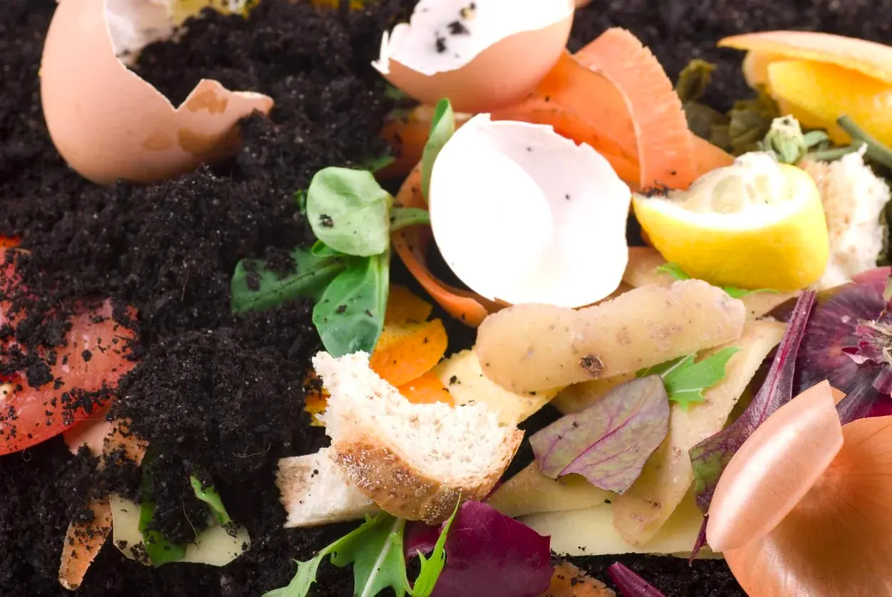 Do Electric Composters Actually Work? How Do They Work? Is an Electric Composter Better Than Regular Composting?