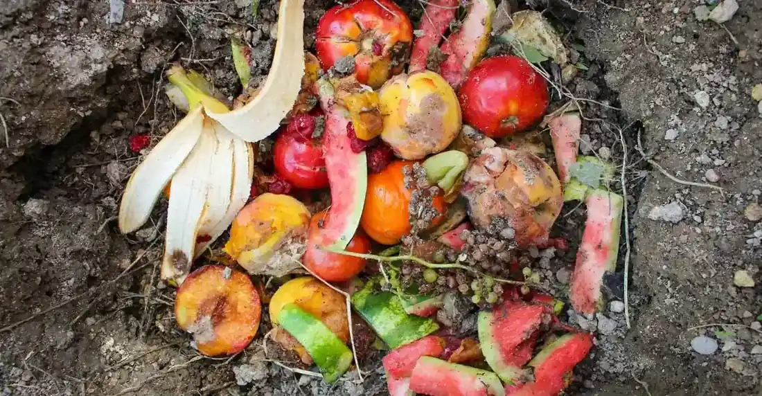 What Does Commercial Composting Mean?