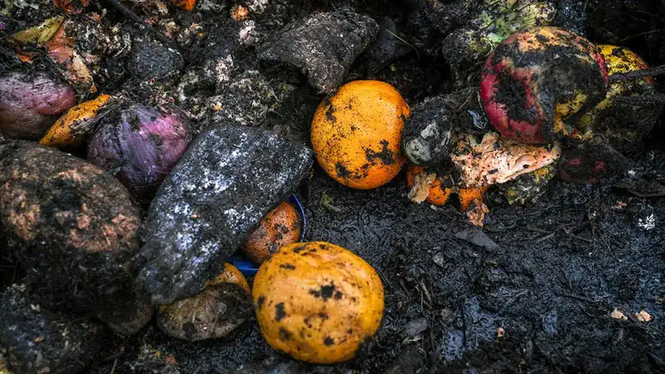 How Organic Waste Converted Into Compost