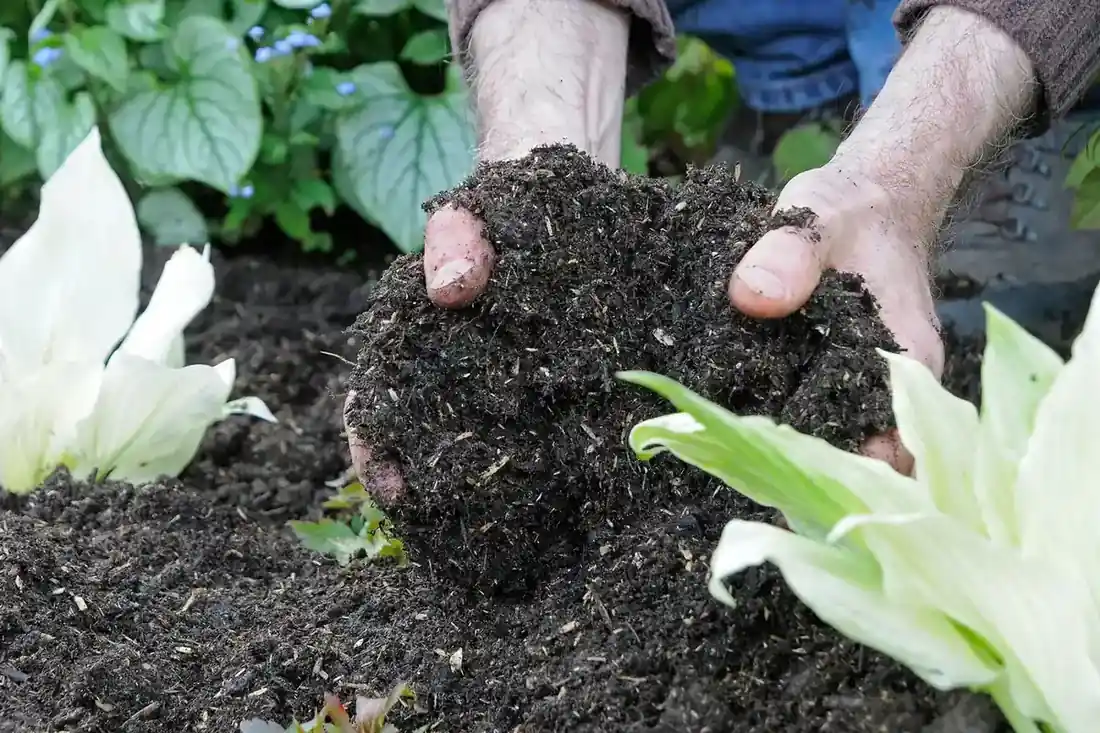 Green Gold: The Ultimate Guide to Compost and Manure for a Thriving Garden