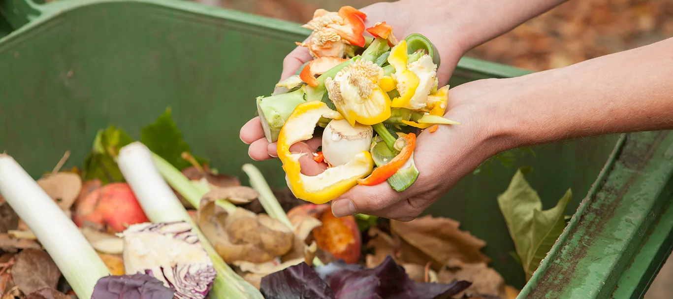 How Organic Waste Converted Into Compost