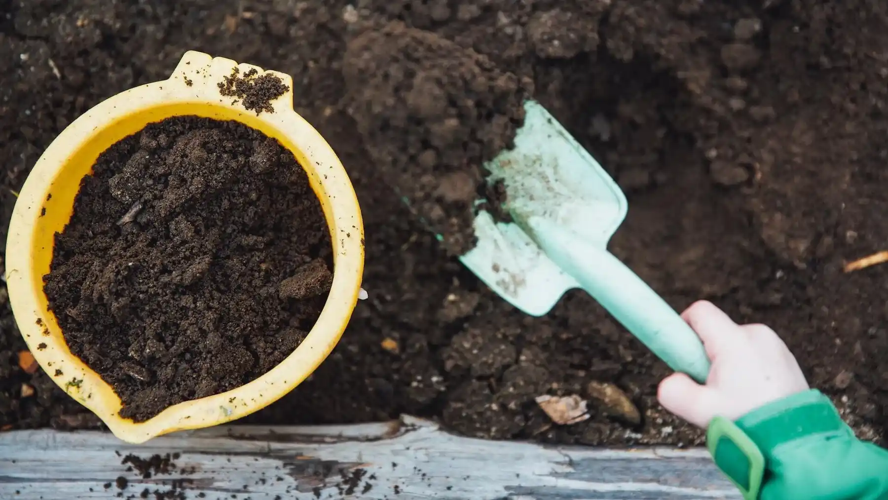 Do Electric Composters Actually Work? How Do They Work? Is an Electric Composter Better Than Regular Composting?