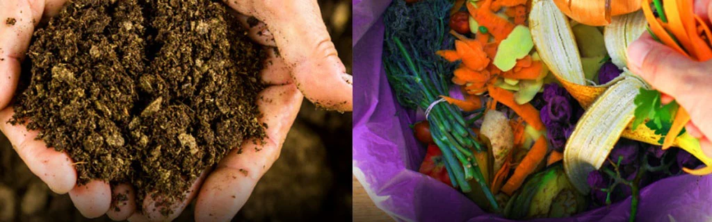 Composting Organic Waste from Kitchen and Garden for a Free Natural Fertilizer