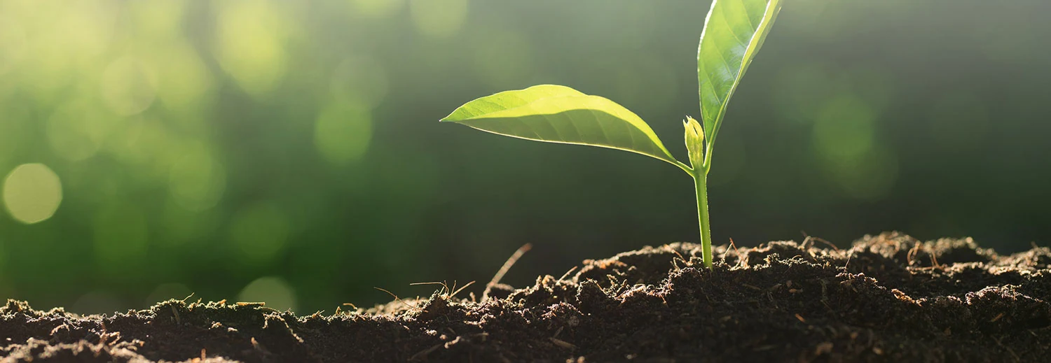 Is Organic Fertiliser from Food Waste Processors Viable for Agriculture?