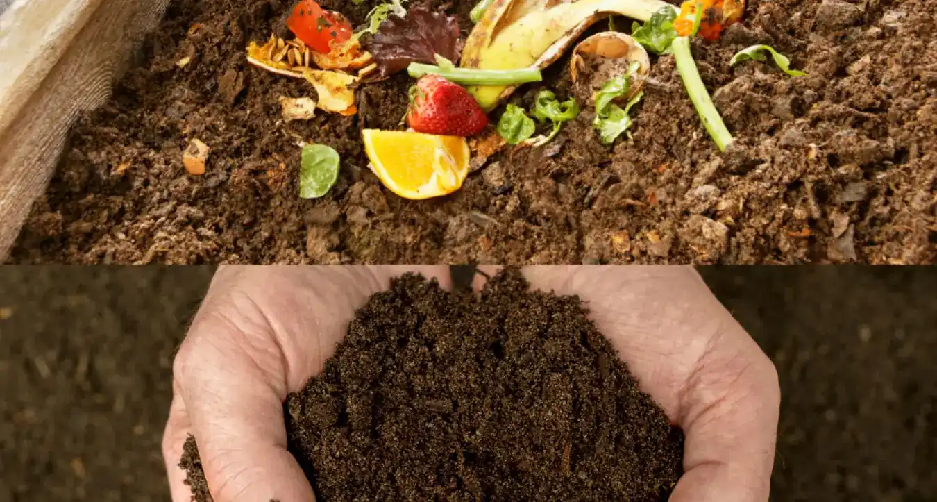 Is Organic Fertiliser from Food Waste Processors Viable for Agriculture?