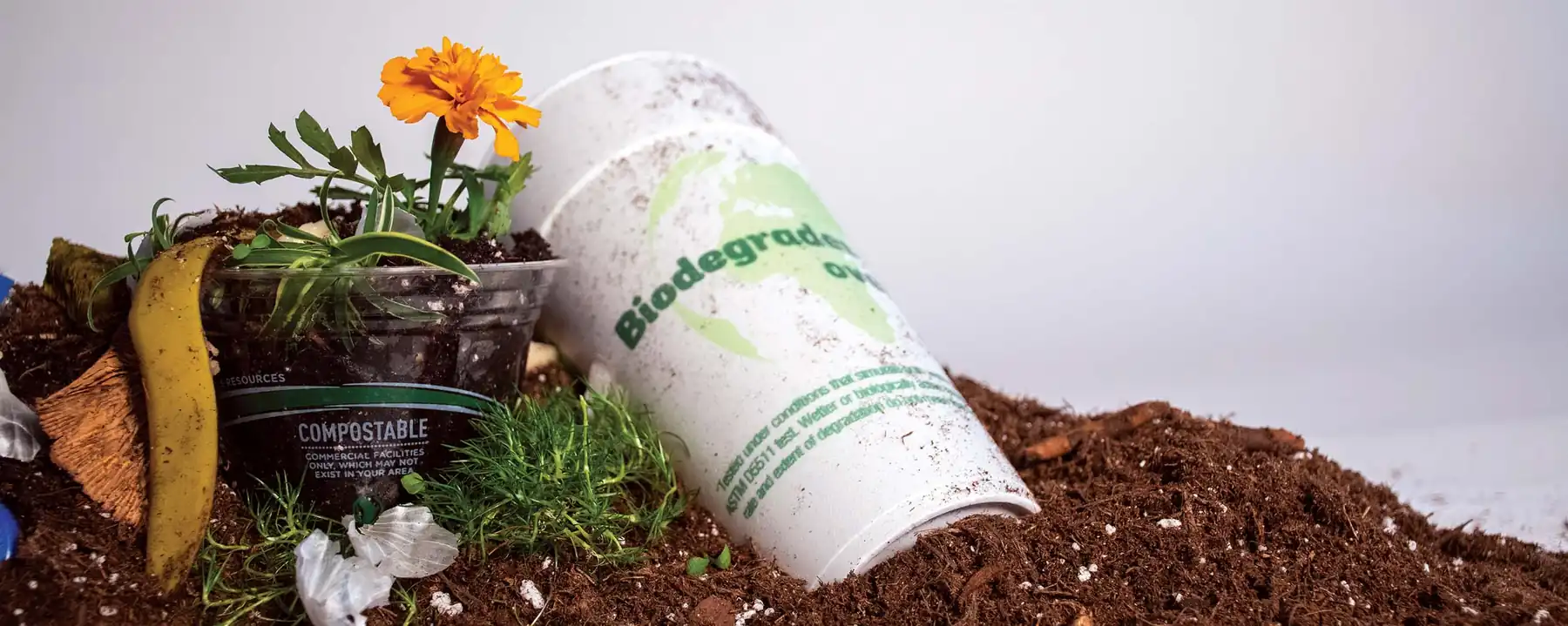 Biodegradable vs. Non-Biodegradable: Understanding the Environmental Impact