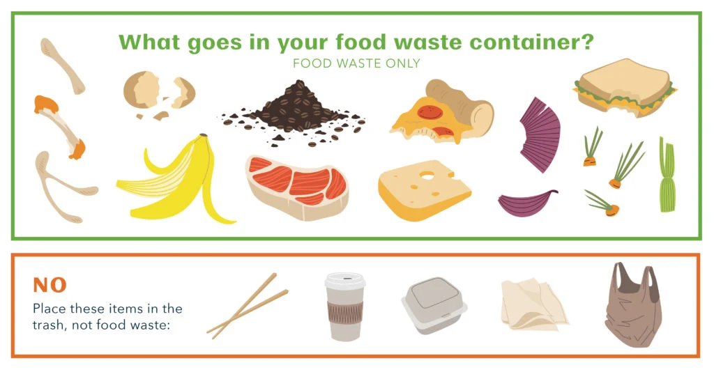 What exactly can you put in your electric food waste composter?