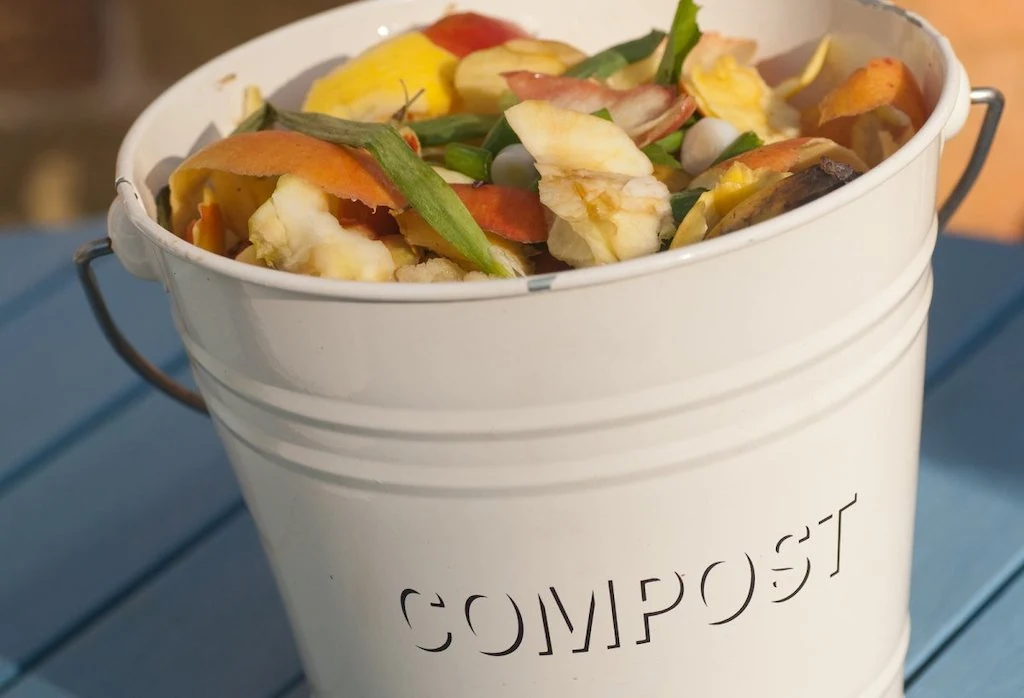 Composting Guide: Ways To Compost Your Food Waste In The City