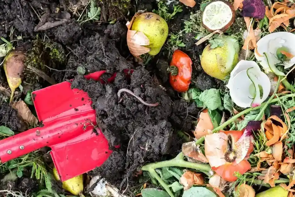 What Does Commercial Composting Mean?