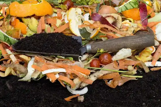 What Is Compost Made Of? Why Is Composting Important? What to Do with Compost?