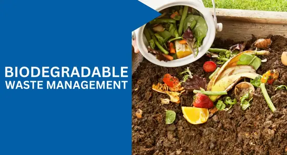 Biodegradable vs. Non-Biodegradable: Understanding the Environmental Impact