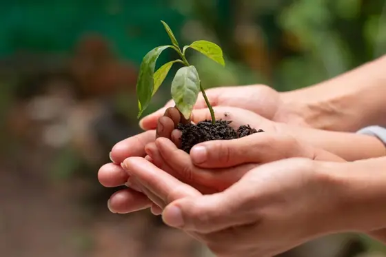 What is Earth Day? Who created it and how to celebrate it and why?