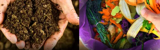 Composting Organic Waste from Kitchen and Garden for a Free Natural Fertilizer