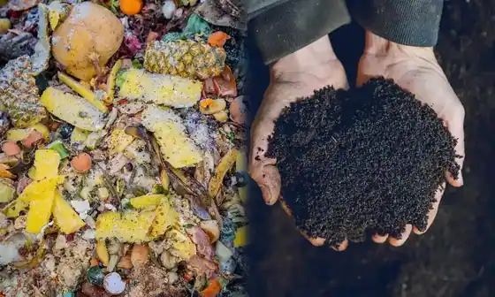 The Benefits of Organic Composter Machines & Why You Should Consider Installing One
