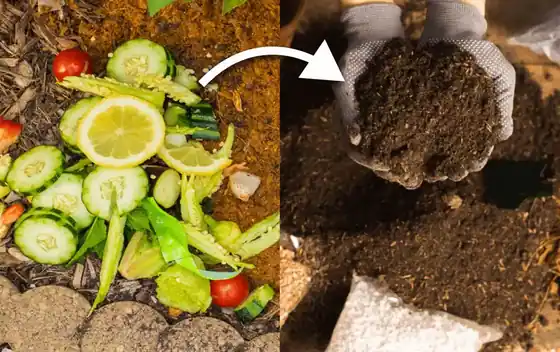 What is Rapid Composting?