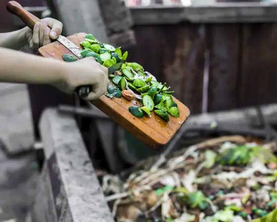 The Science Behind TMK Food Composter and Explained