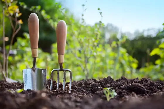 A Complete Guide To Food Waste Composting Machine