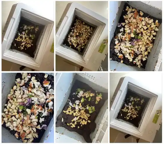 What exactly can you put in your electric food waste composter?