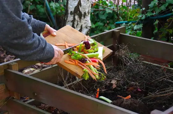 Six Benefits You Can Expect When You Start Composting