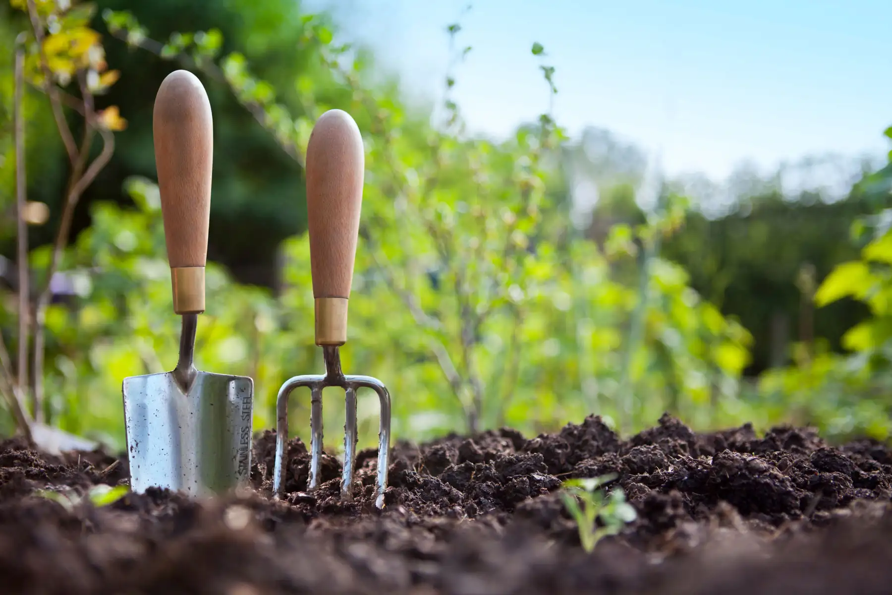A Complete Guide To Food Waste Composting Machine