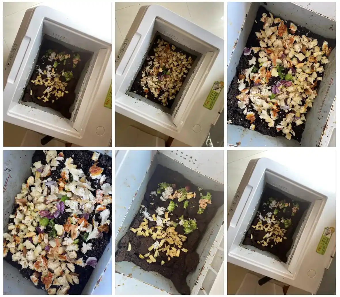 What exactly can you put in your electric food waste composter?