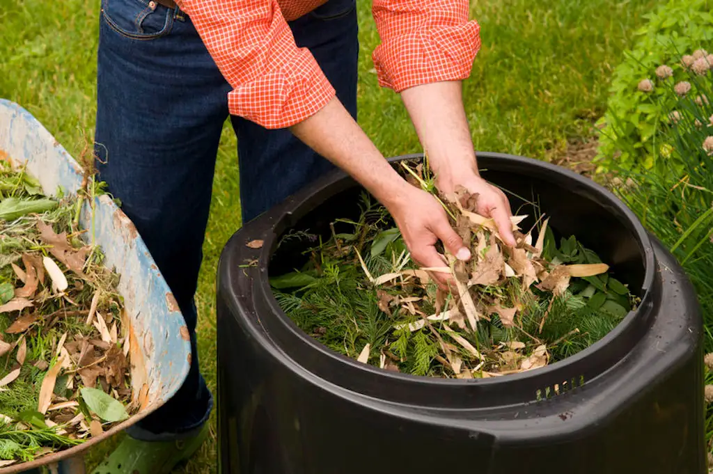 Composting Guide: Ways To Compost Your Food Waste In The City