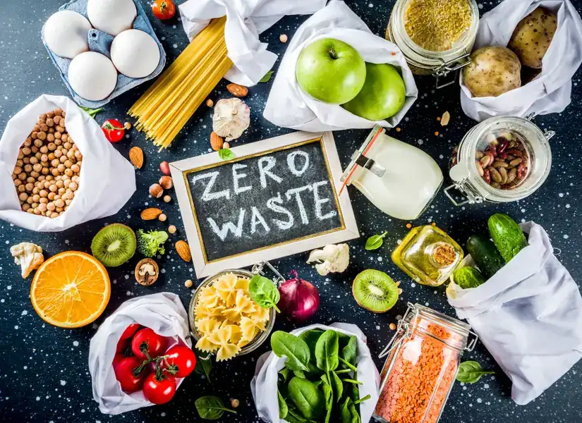 Top Problems in Food Waste Management and How an Organic Waste Composter Solves Them