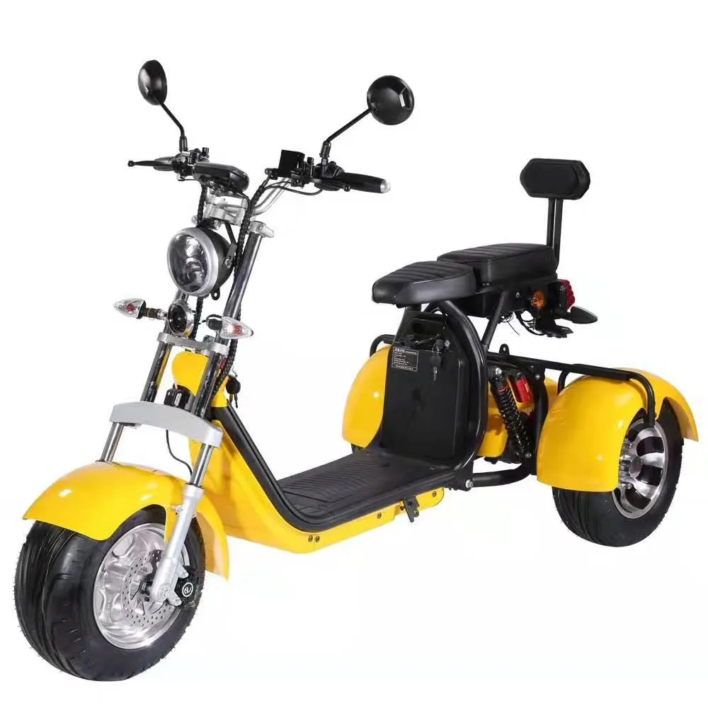Electric Citycoco three wheels