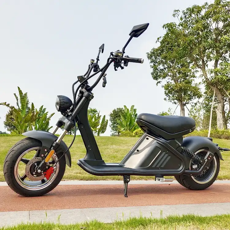 2021 New arrival M2 Citycoco Motorcycle Electric Scooter