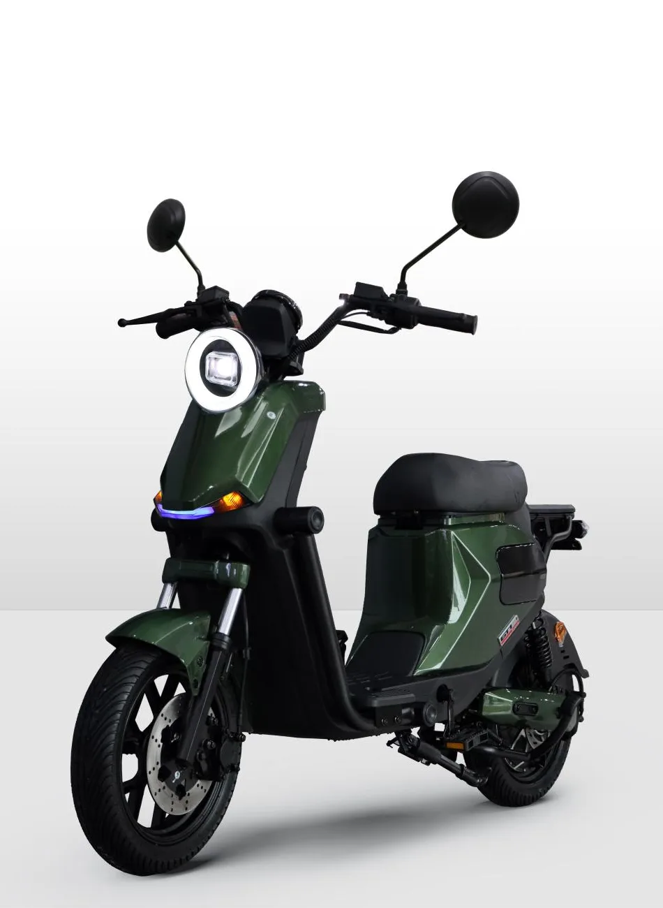 2024 Most Popular 1000W Foldable High Speed Electric Scooter 11 Inch