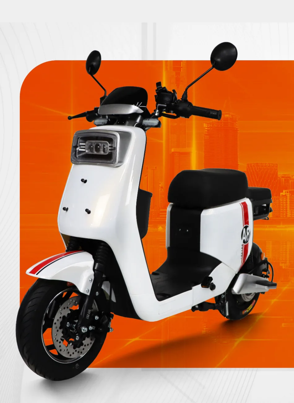 A9 1000W Powerful Long Range Electric Vehicle