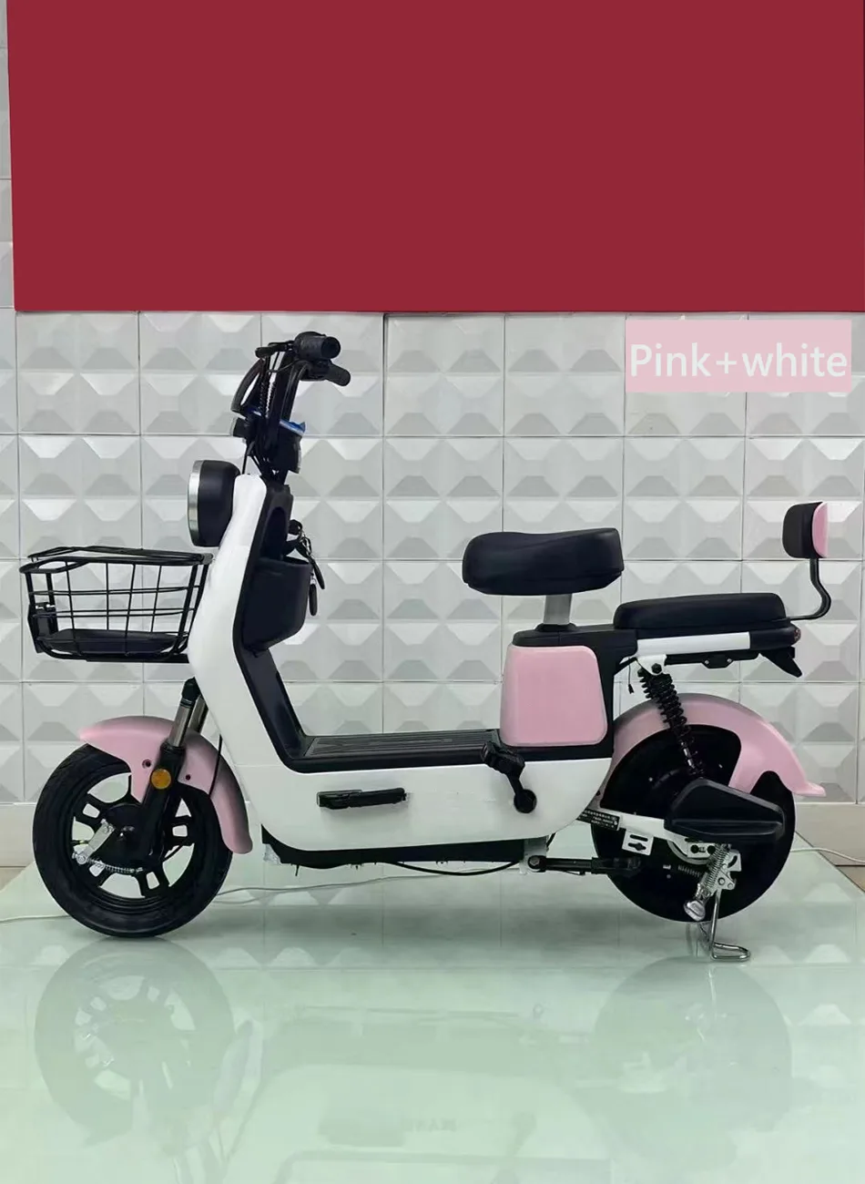 M17/TM28 350W Powerful Long Range Electric Vehicle