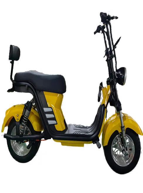 TMSCOOTER — 6A2Fbebc7E1Cd