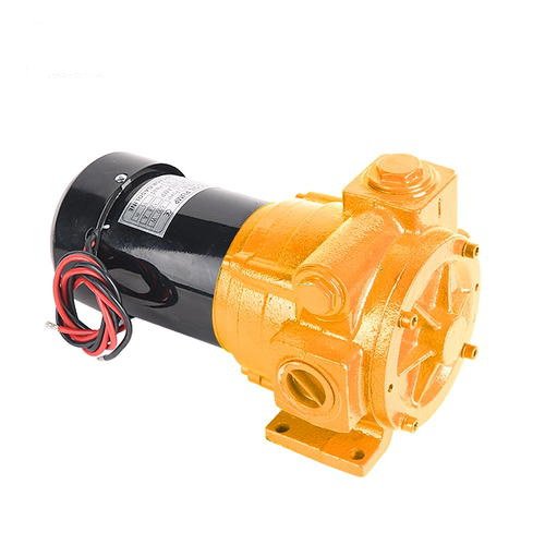 Electric Transfer Pump(DYB70)