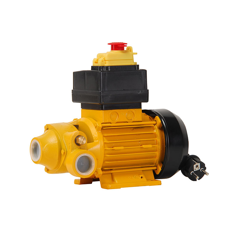 Electric Transfer Pump(DYB40W)