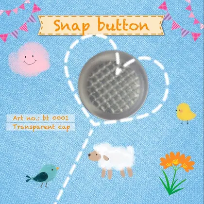 snap button
